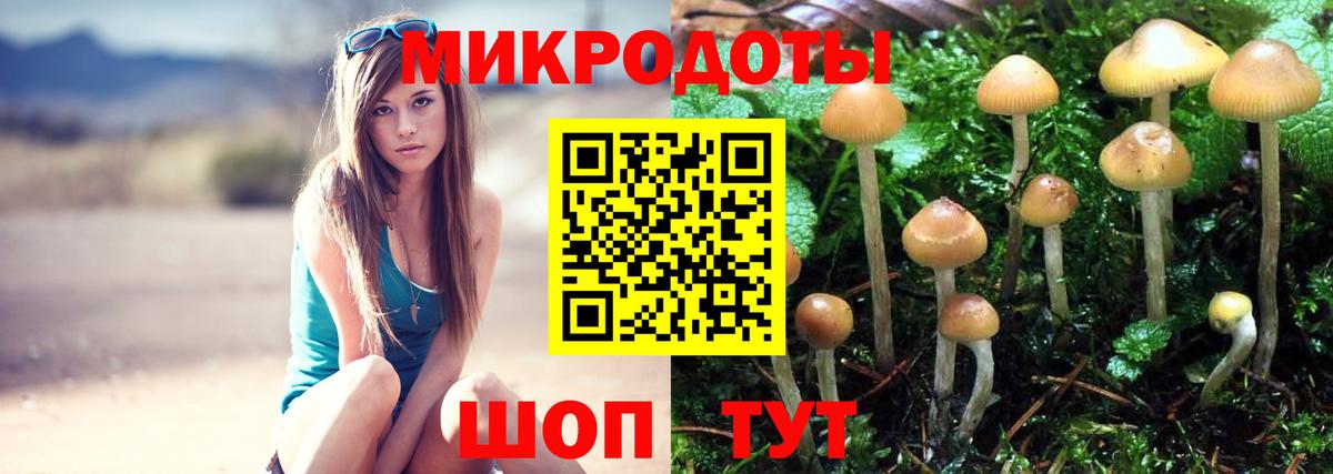 Псилоцибиновые грибы прущие грибы Кондопога