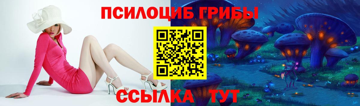 Псилоцибиновые грибы прущие грибы  Вход с VPN  что такое   Кондопога 